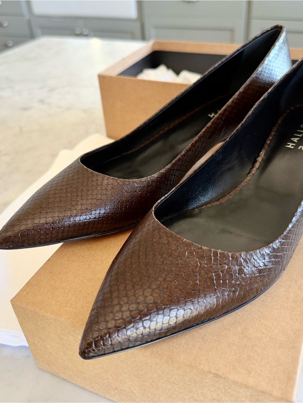 ❤️JAMIE HALLER THE KITTY POINT HEEL 40 NIB
